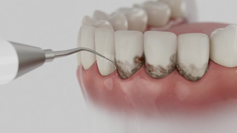 Reliable Dental contractor in North Carolina, NC by Dentist Open Now